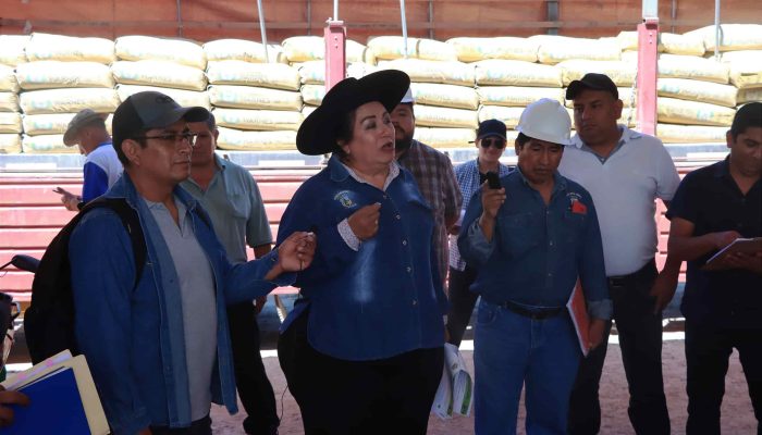 Fiscalización Destapa Irregularidades en la Construcción de la Terminal de Buses de Yacuiba